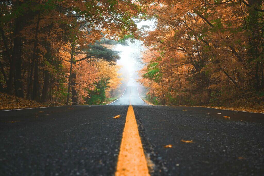 a road with trees on the side